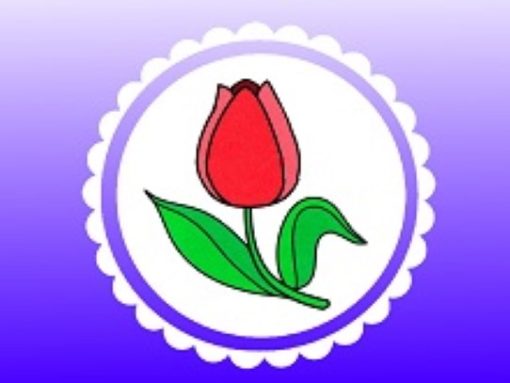 №6 «ТЮЛЬПАНЧИК»